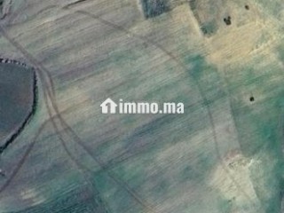 4 هكتار فلاحية محفظة همزة - Terrain à vendre - Larache