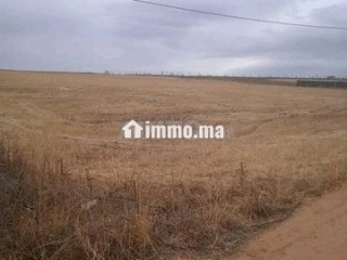 4 هكتار فلاحية محفظة همزة - Terrain à vendre - Larache