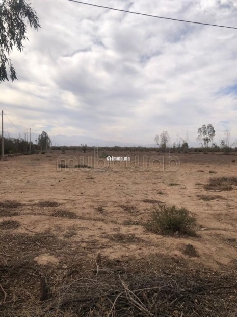 Opportunité Foncière de Luxe à Marrakech - Vente Immobilier - Marrakech - photo 2