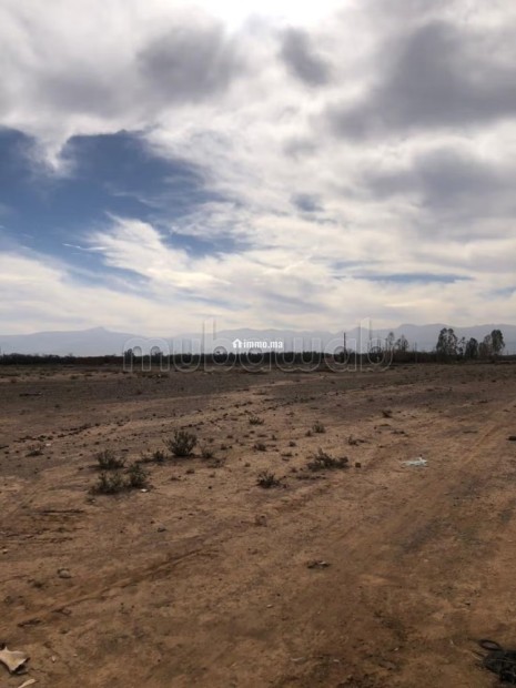 Opportunité Foncière de Luxe à Marrakech - Vente Immobilier - Marrakech - photo 3