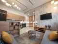 studio-meuble-a-louer-a-loasis-small-2
