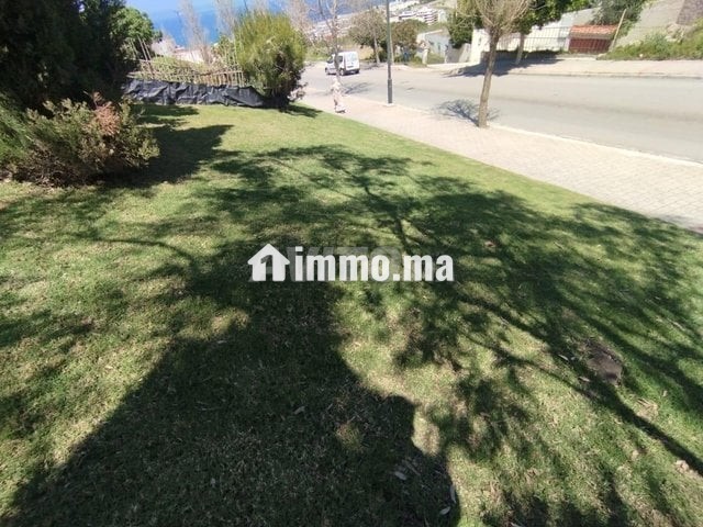 قطعة أرضية معروضة للبيع بثمن جد مناسب بطنحة - Vente Immobilier - Tanger - photo 6