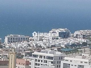 قطعة أرضية معروضة للبيع بثمن جد مناسب بطنحة - Terrain à vendre - Tanger