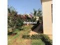 magnifique-villa-a-louer-small-6