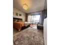 appartement-meuble-a-louer-173m2-les-orchidees-small-9