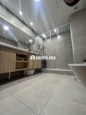 appartement-meuble-a-louer-173m2-les-orchidees-big-11