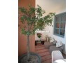 appartement-situe-a-lhivernage-a-louer-small-1