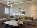 bel-appartement-en-location-a-palmier-superficie-110-m2-bien-meuble-small-3