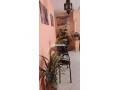 appartement-kita3e-alforossia-small-8