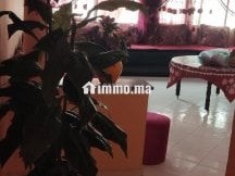appartement-kita3e-alforossia