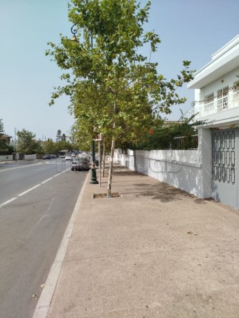 villa-568-m2-a-youssoufia-sur-avenue-principale-big-2