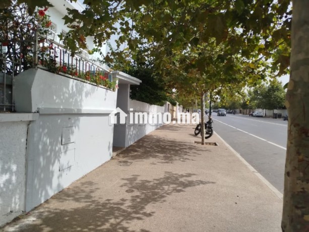 villa-568-m2-a-youssoufia-sur-avenue-principale-big-3