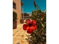 villa-avec-piscine-small-12