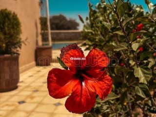 Villa avec piscine - Villa à vendre - Essaouira