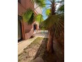villa-a-vendre-small-4