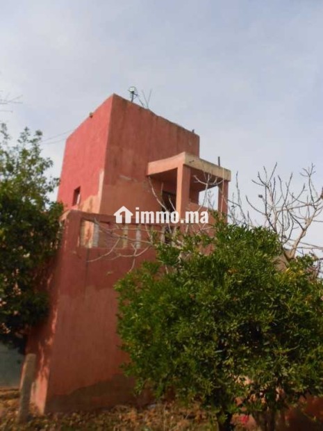 FERME A VENDRE - Vente Immobilier - Berrechid - photo 1