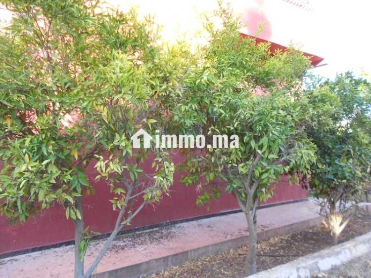 FERME A VENDRE - Vente Immobilier - Berrechid - photo 5