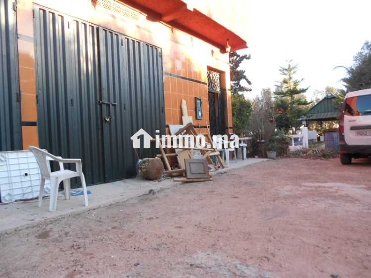 FERME A VENDRE - Vente Immobilier - Berrechid - photo 6