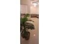 appart-100m2-meuble-10min-de-la-plage-small-2