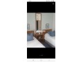 appartement-centre-ville-small-2