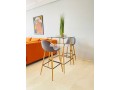 studio-50m-meuble-a-jenane-californie-small-9