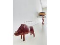studio-50m-meuble-a-jenane-californie-small-3