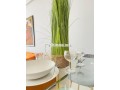 studio-50m-meuble-a-jenane-californie-small-7