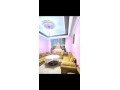 appartement-familiale-bien-equipe-small-2
