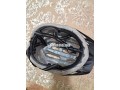 aldaralbydaaa-alolf-small-2