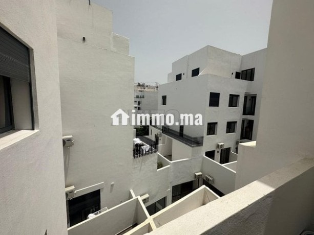 studio-moderne-meuble-a-palmier-big-2