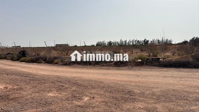 Terrain 11000 m2 à vendre à sidi moussa lhamri - Vente Immobilier - Taroudant - photo 1