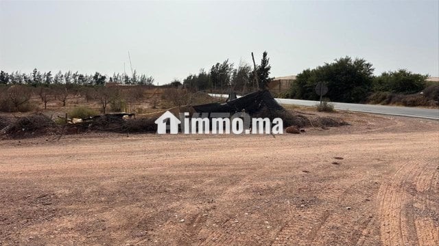 Terrain 11000 m2 à vendre à sidi moussa lhamri - Vente Immobilier - Taroudant - photo 2