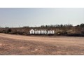 terrain-11000-m2-a-vendre-a-sidi-moussa-lhamri-small-0