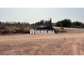 terrain-11000-m2-a-vendre-a-sidi-moussa-lhamri-small-1