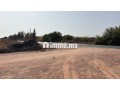 terrain-11000-m2-a-vendre-a-sidi-moussa-lhamri-small-2