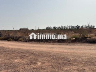 terrain-11000-m2-a-vendre-a-sidi-moussa-lhamri