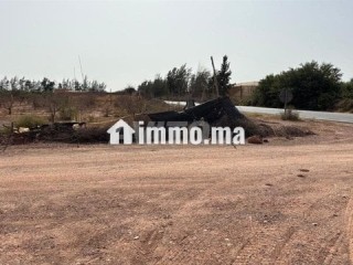 Terrain 11000 m2 à vendre à sidi moussa lhamri - Terrain à vendre - Taroudant