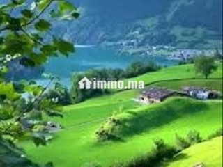 trois-haut-standing-vide-couple-marie
