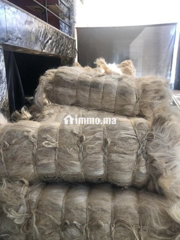 2طن فيلاس للبيع - Vente Immobilier - Kenitra - photo 1