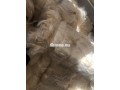 2tn-fylas-llbyaa-small-1