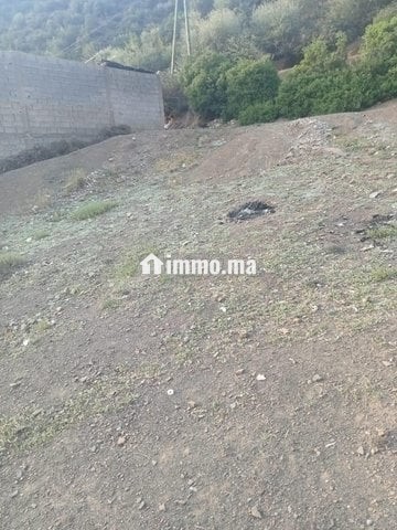 Terrain constructible 535 m² ourika Marrakech - Vente Immobilier - Marrakech - photo 3
