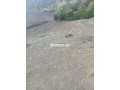 terrain-constructible-535-m2-ourika-marrakech-small-2
