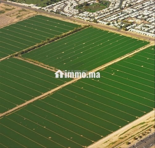 Terrain sur route pour projet Mhaya - Vente Immobilier - Meknes - photo 1
