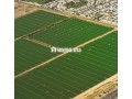 terrain-sur-route-pour-projet-mhaya-small-0