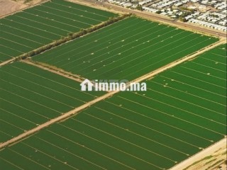 terrain-sur-route-pour-projet-mhaya