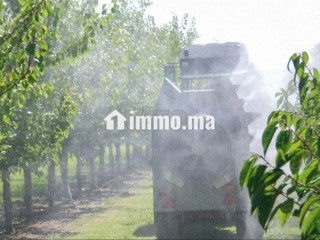 petite-ferme-equipee-haj-kaddour