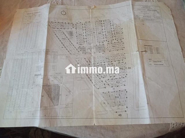بقعة ارضية سكنية واجهة واحدة - Vente Immobilier - Taza - photo 3