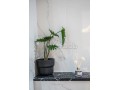 cozy-studio-au-coeur-de-casablanca-small-8