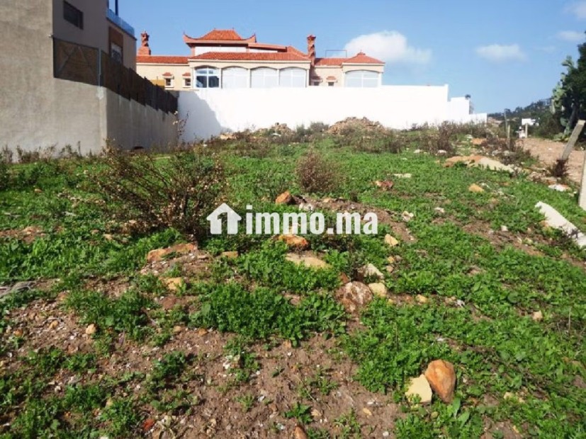 Terrain Titré pour villa à vendre - Vente Immobilier - Tanger - photo 3