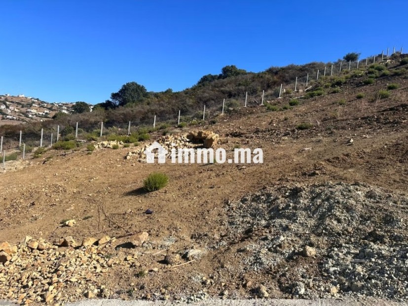 Superbes terrains en vente à sidi kankouch vue mer - Vente Immobilier - Tanger - photo 5